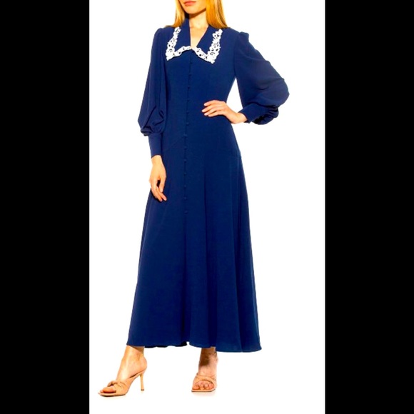 Lace Trim Collar Long Blouson Sleeve Maxi Dress
ALEXIA ADMOR Size: 12 - Picture 1 of 8